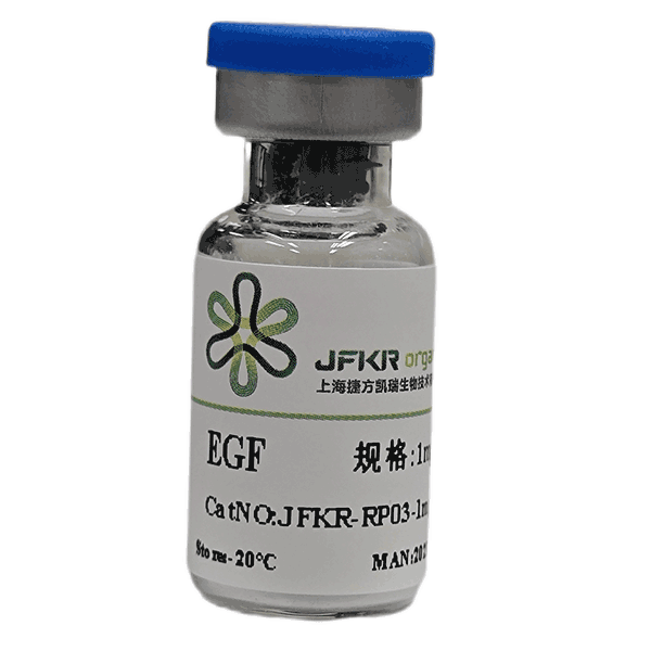  EGF 